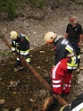 bild (18)
